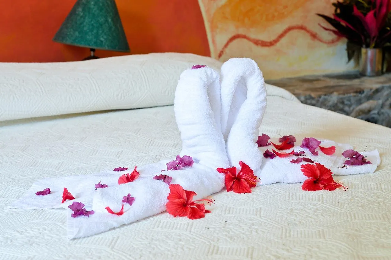 Las Ballenas Escondidas Hotel Samana